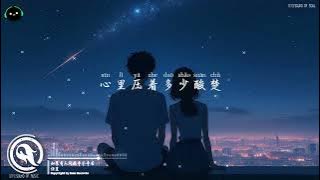 如果有人问我辛不辛苦 - 任夏「这些年只顾着奔波，脸上早已少了快乐的样子。」♪ 【動態歌詞/高音質/Pinyin/Lyrics Video】♪