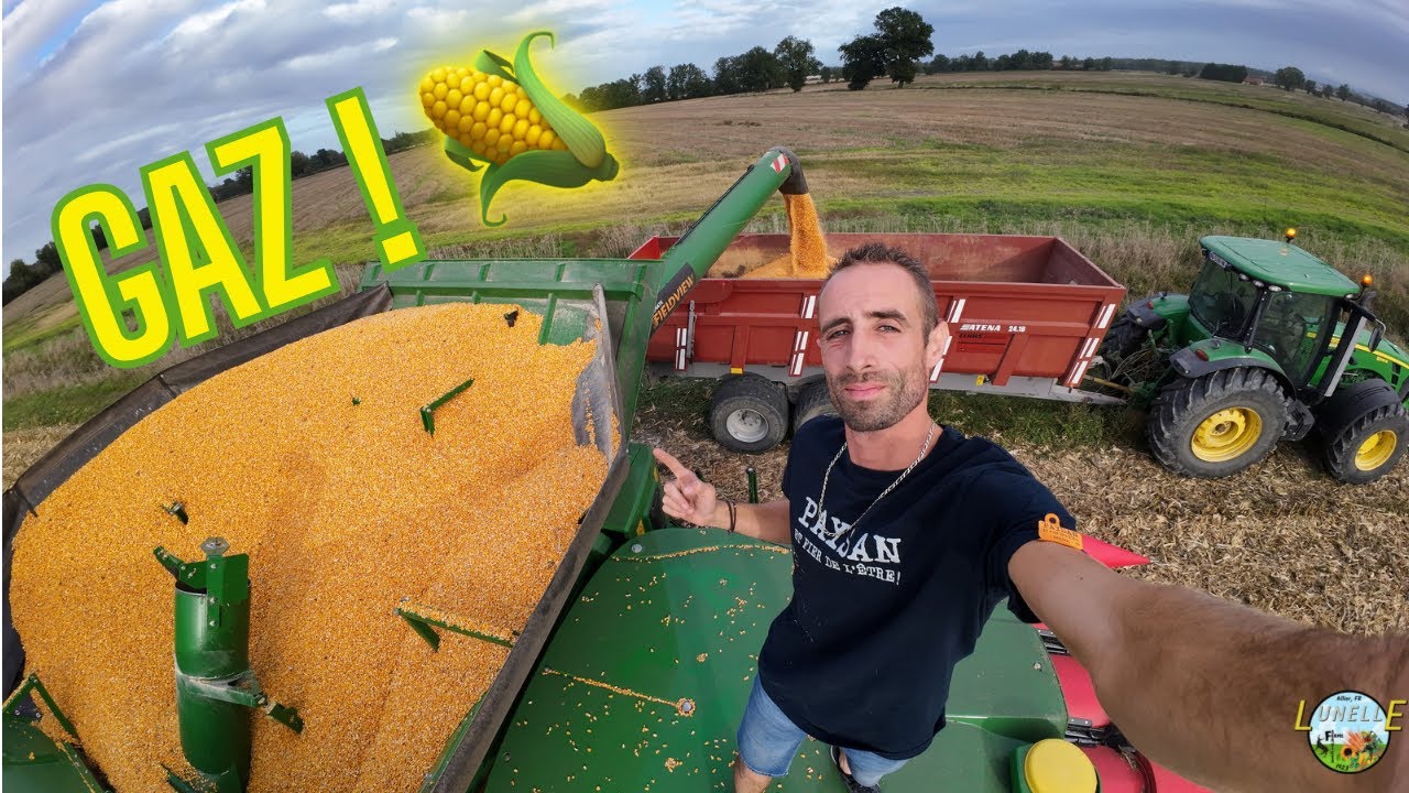 JE SIGNE tous les ans pour cela ! 🖊️🌽✅ #306