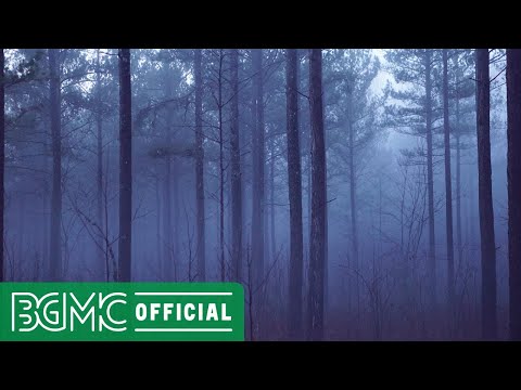 Deep Sleep Forest Healing Music - Calm and Peaceful Background Music for Meditation