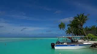 The Green Lagoon on Rangiroa: An incredible destination with multi-hued colors & swaying palm trees.