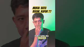 Murai Batu Berak Kapur ? #muraibatu #muraibatugacor #settinganmuraibatu