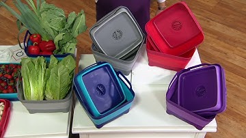 Set of 2 Collapsible Dish Drainers with Removable Drain on QVC