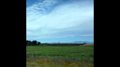 Three Fields -  Signals