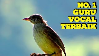 SUARA MASTERAN KAPAS TEMBAK GACOR TEMBUS COCOK UNTUK BURUNG KICAUAN