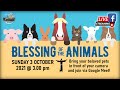 Franciscan Blessing of Animals 2021