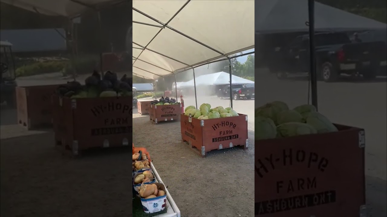 Dust Tornado Observed in Parking Lot