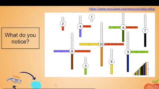 Notice and Wonder - Number Sense Activity