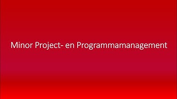 Minor project en programmamanagment engelse ondertiteling