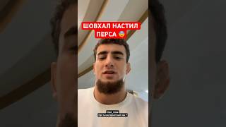 😳 Шовхал Чурчаев НАСТИГ Перса в гостинице ПЕРЕД БОЕМ #mma #short #popmma #шовхал #чечня