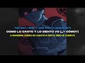 ARIIS GOZALO Lyrics Translation 