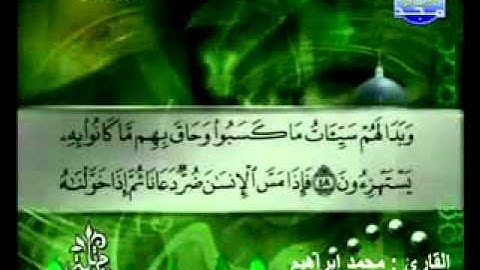 سورة الزمر القارئ محمد إبراهيم
