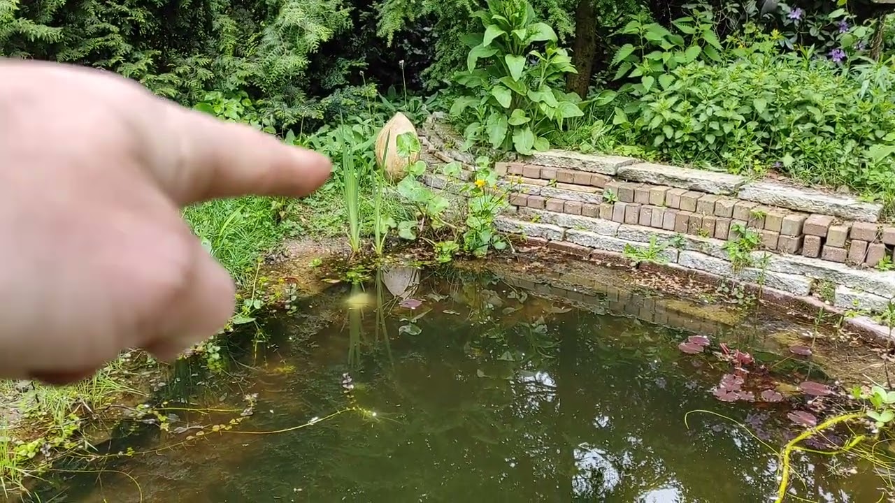 Tuin in Wolfheze, met stapelmuur in de vijver en hemelwater afkoppeling:) Deel 1