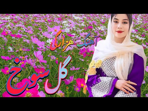 آهنگ هزارگی گل سوخ تورا در بر بگیرم از ضیا فورغ 