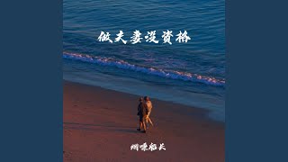 做夫妻没资格 - 烟嗓船长