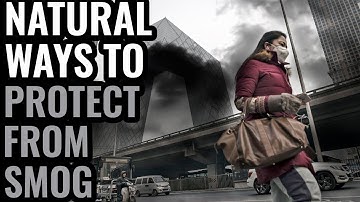 Natural ways to protect yourself from the ill effects of smog | Eat Well