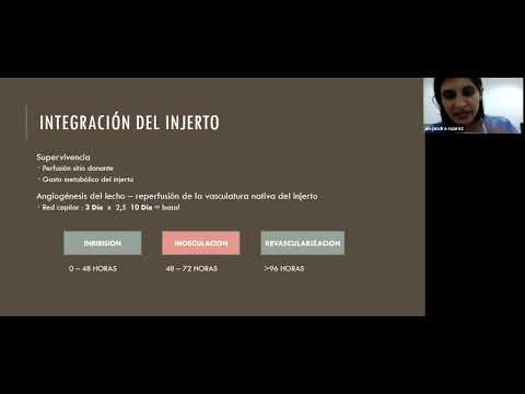 Vídeo: Classificació Matrimonial De Llocs De Cites