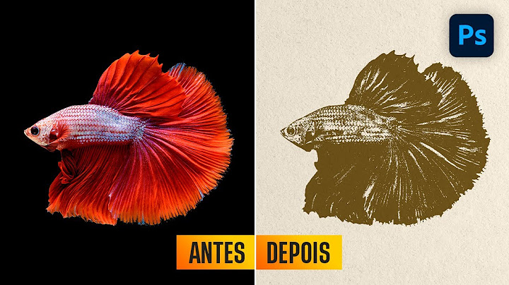 Esse efeito é INCRÍVEL! Transforme qualquer foto em desenho!