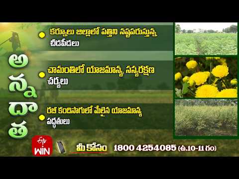 9th September 2026 | Annadata | అన్నదాత | Full Episode | ETV Telugu