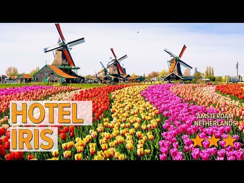 hotel iris hotel review hotels in amsterdam netherlands hotels