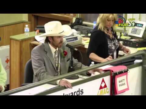 რეპერი ოპერატორი