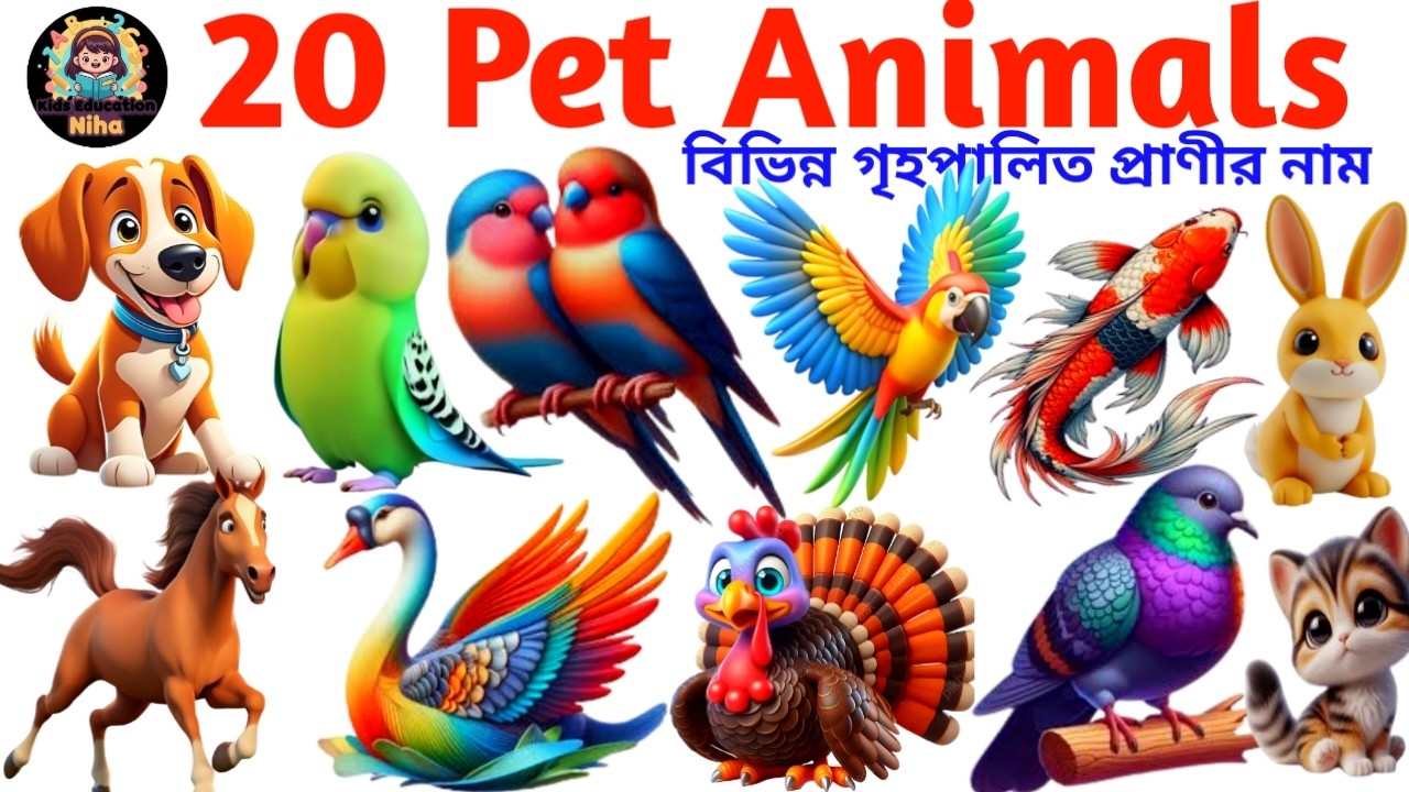 Pet Animals Name | Learn 20 Domestic Animals in English | Kids Vocabulary