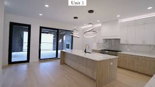 1334 W RosedaleTeaser - New construction three unit building - Jason O'Beirne Realty