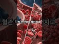 손발이 차가워지면 이미 늦습니다! 혈관 살리는 3가지 습관