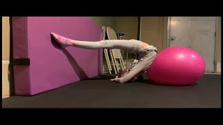 Stretching and Acrobatics Alex Lee Training System