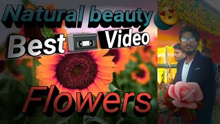 Best natural flowers 🌸 \/\/  new video, So beautiful video ,vlog video
