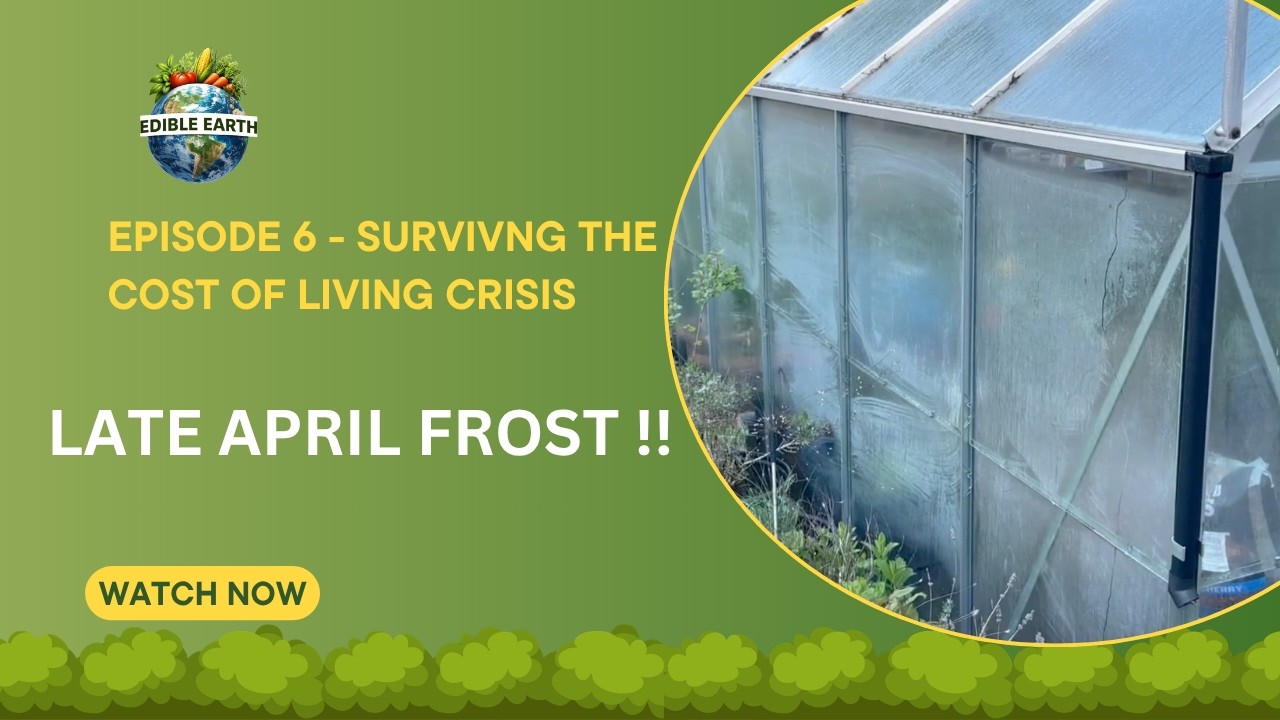 Episode 6 Surviving The Cost of Living Crisis | April frost !! - YouTube