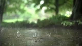 lagu romantis buat istri tercinta story wa
