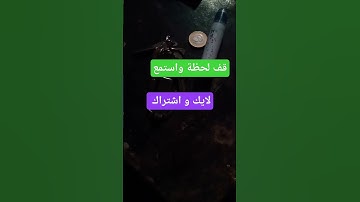 تلاوة ماشاء الله تبهر النفوس  اكسبلور