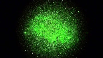 Soul Nebula (IC 1848) thru Image Intensifier in Real-Time