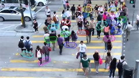 Structured learning for social group detection in crowds - MPT 20x100