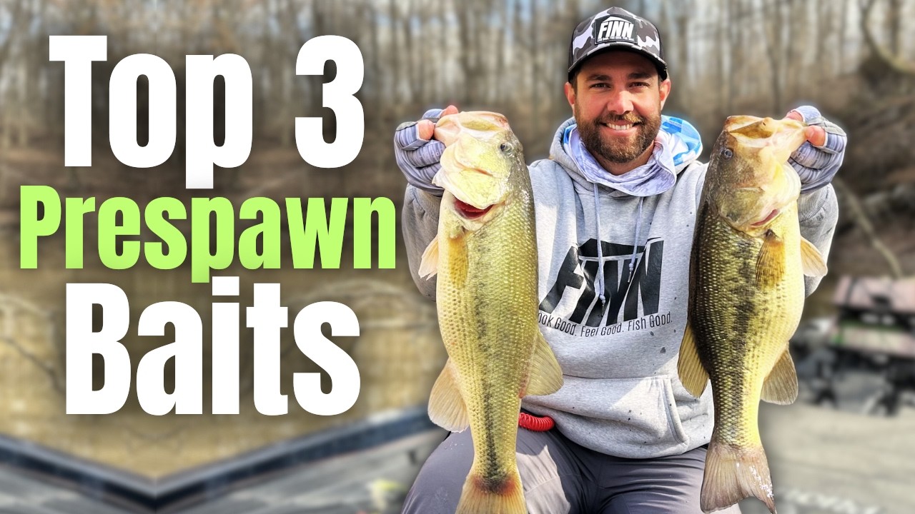 Top 3 PRESPAWN Baits For BIG BASS