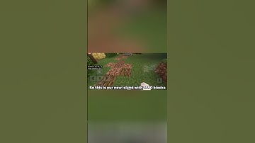 Adding one block per sub |day 10|special| #mimi_1 #youtube #minecraft