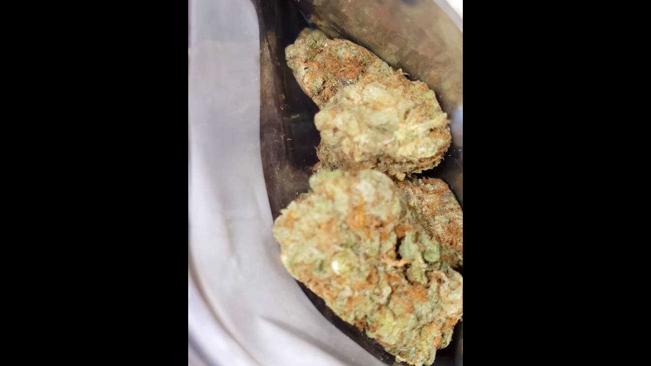 FrostBite and Hogs Breath