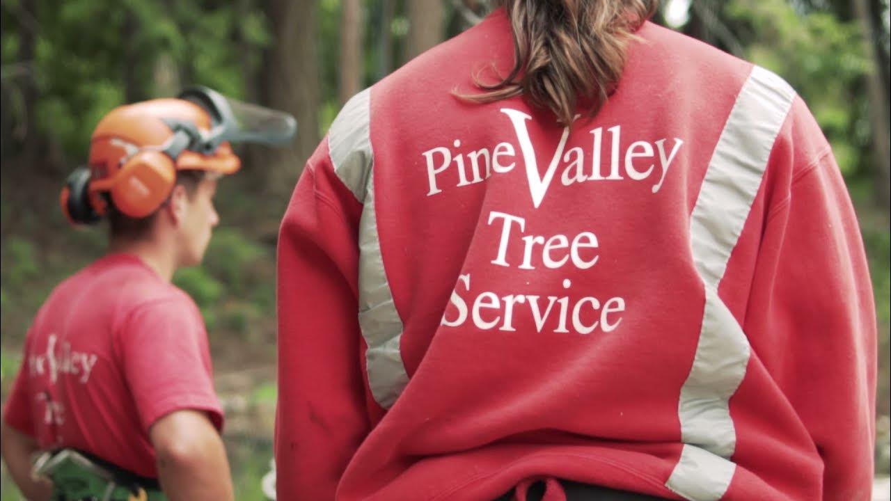Pine Valley Tree Services intro YouTube