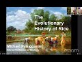 PAASE Webinar 07: "The Evolutionary Origin(s) and Spread of Rice"