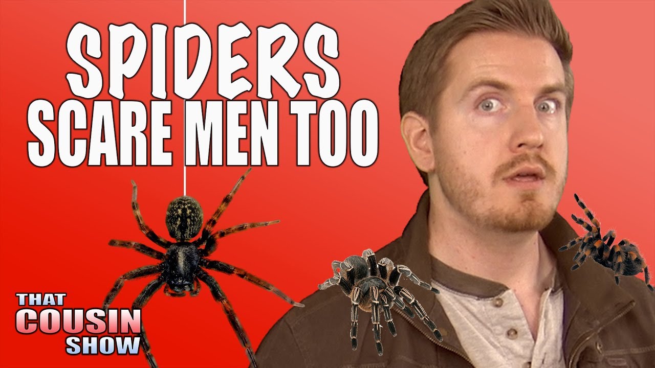 Spiders Are Scary To Grown Men