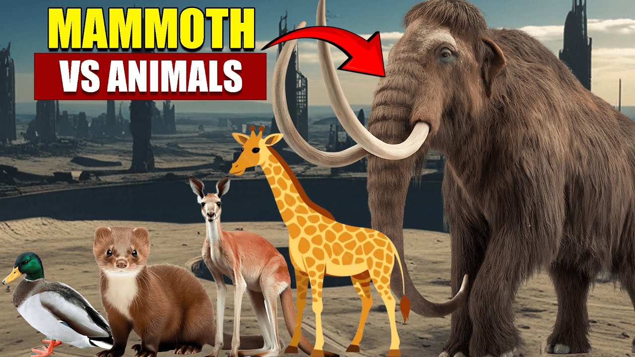 𝗠𝗮𝗺𝗺𝗼𝘁𝗵 𝘃𝘀 𝗔𝗹𝗹 𝗔𝗻𝗶𝗺𝗮𝗹𝘀 |𝟯𝗗 𝗔𝗻𝗶𝗺𝗮𝗹𝘀 𝗦𝗶𝘇𝗲 𝗖𝗼𝗺𝗽𝗮𝗿𝗶𝘀𝗼𝗻 𝟮𝟬𝟮𝟱