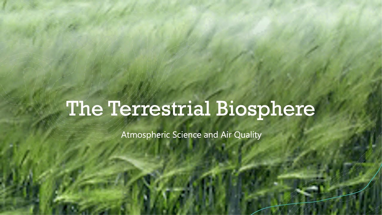 IEA501 The Earth System Terrestrial Biosphere