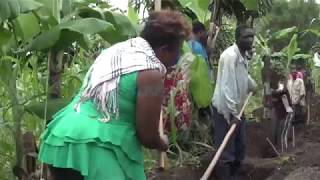 Bizeye Umusaruro Nyuma Yo Gufashwa Ningabo Zu Rwanda