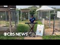 Meet the Texas boy playing music for shelter animals
