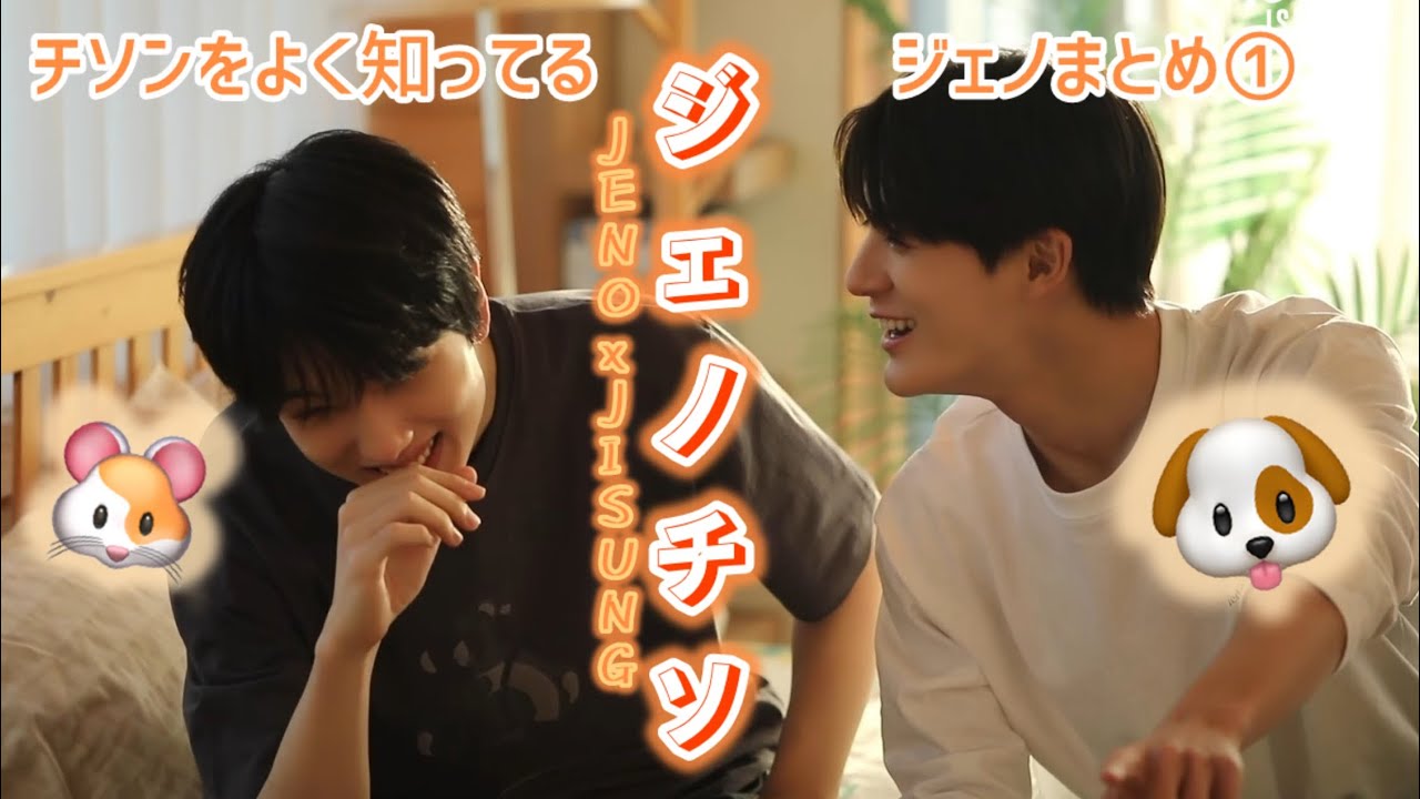 チソン学博士 ジェノ【NCTDREAM ジェノ チソン ジェノチソ】