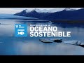 Principios para un océano sostenible - Pacto Mundial España