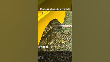 The PEELING process of walnuts! 🌰 #nuts #shorts