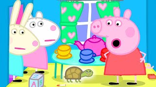 peppa pig is looking for dr hamsters missing tortoise