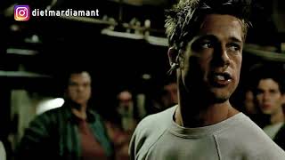 Download Lagu Dachtelklub MP3