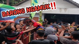 Barongan Ngamuk ‼️Rampak barong Putro Sriwijoyo live Bangsongan